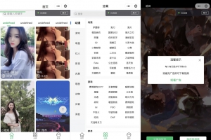 新版本的动态视频壁纸微信小程序源码_支持多种分类短视频和静态壁纸