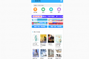 价值1500元的狂雨小说二开版，爱看小说网2W本全站打包源码