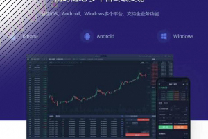 优化版数字资产交易所源码 价值4万的币币交易+C2C交易+交易机器人+撮合交易+合约交易