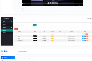 一个tp框架开发的本地局域网视频系统源码